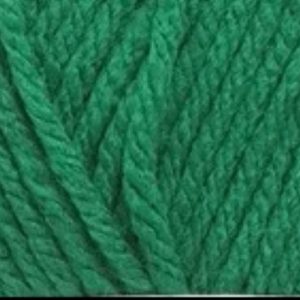 Cygnet Pato Everyday Chunky Shade 877 Green