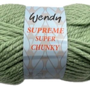 Wendy Supreme Super Chunky Shade SP61 Aloe