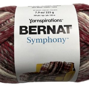 Bernat Symphony Chunky Shade 21004 Pomegranate Punch