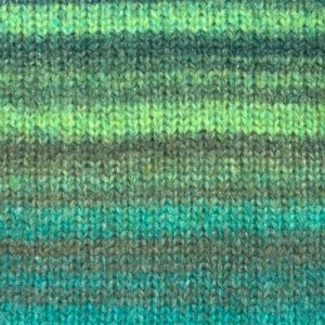 Stylecraft Dream Cloud Chunky Shade 5534 Anthia